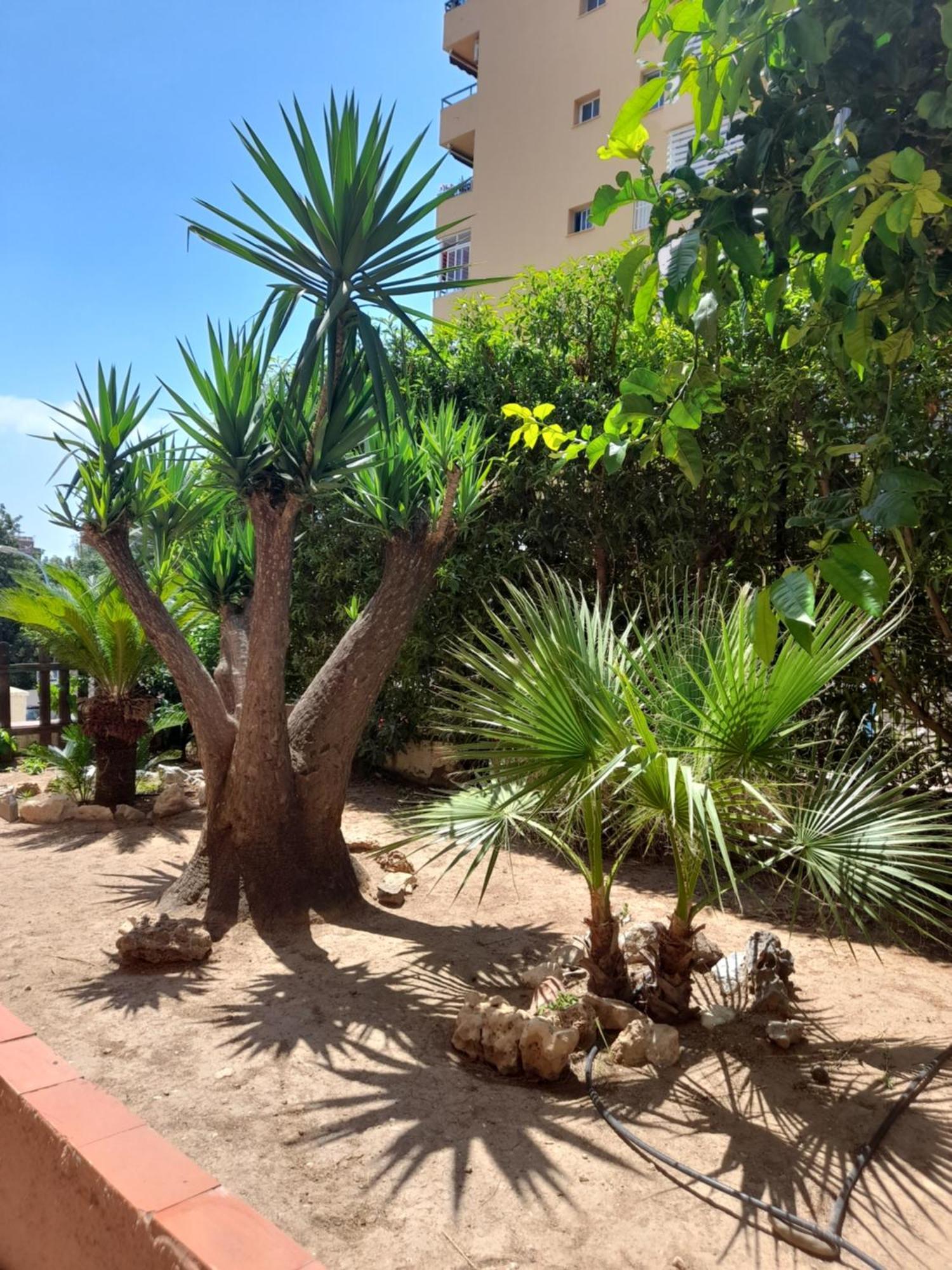 Torremolinos Centro Beach Apartment Ngoại thất bức ảnh
